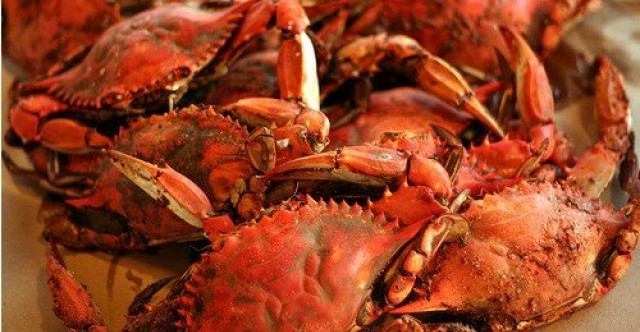 Cracking the Keys of Restaurant Success with Crabby Bill’s