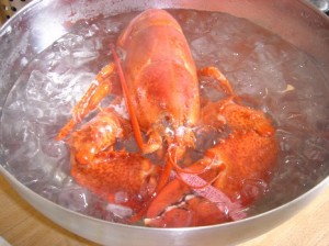 Ice baths and cooking