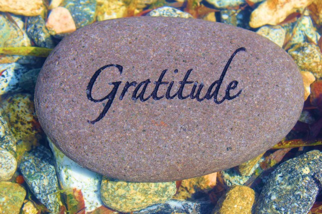 Thanksgiving: A Time to be Grateful grateful for prosperity this year