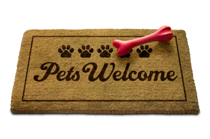 Dogs in Restaurants Fetch Profits dogs, foodservice, dog-friendly restaurants