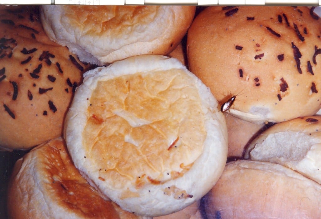 live cockroach on bakery bun is food safety fail