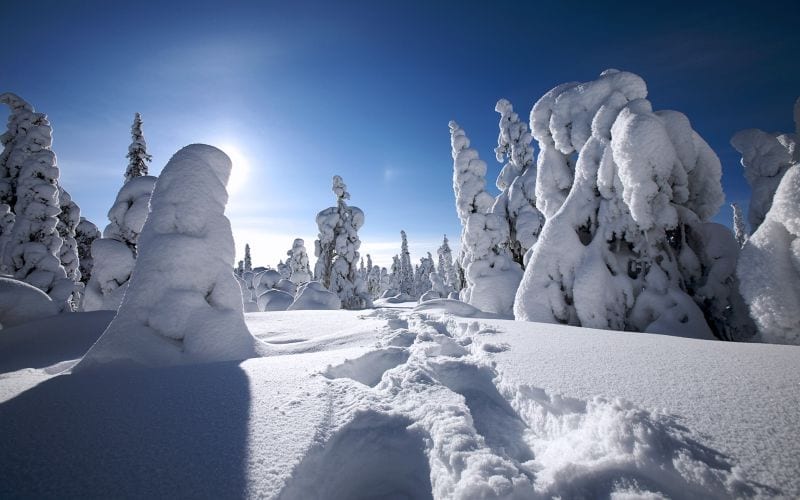 Common Ice Maker Problems You'll Face During Winter - Easy Ice
