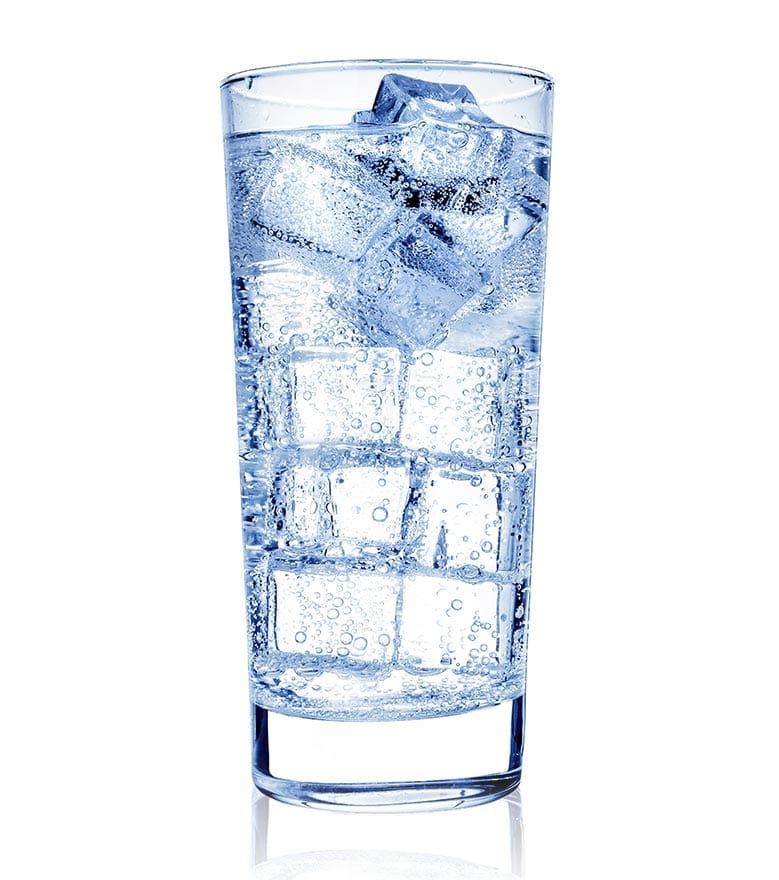 Ice Machine Water Filter
